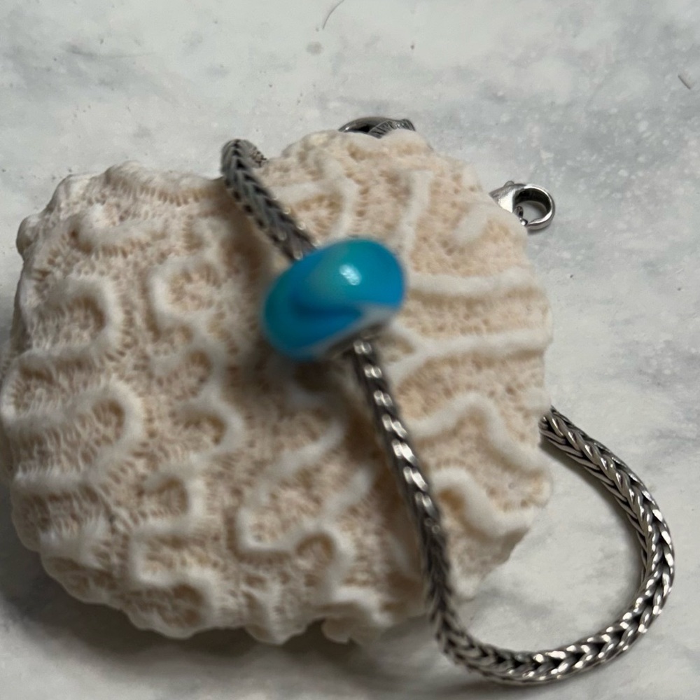 Trollbeads Rare One of A Kind Armadillo Bead